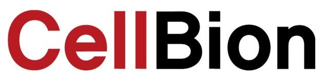 셀비온 공모주 청약