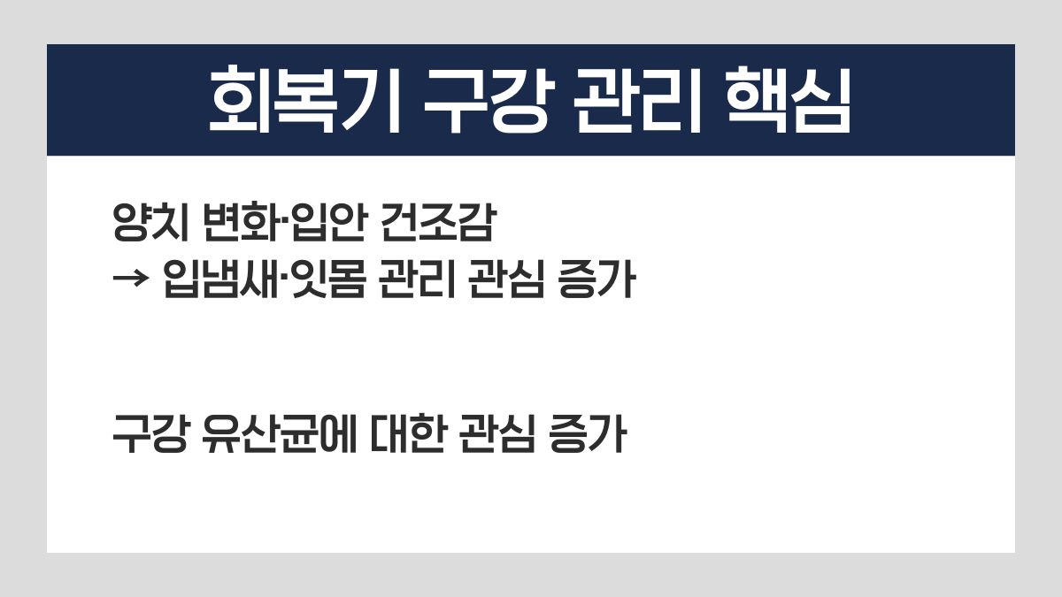 임플란트 구강 유산균