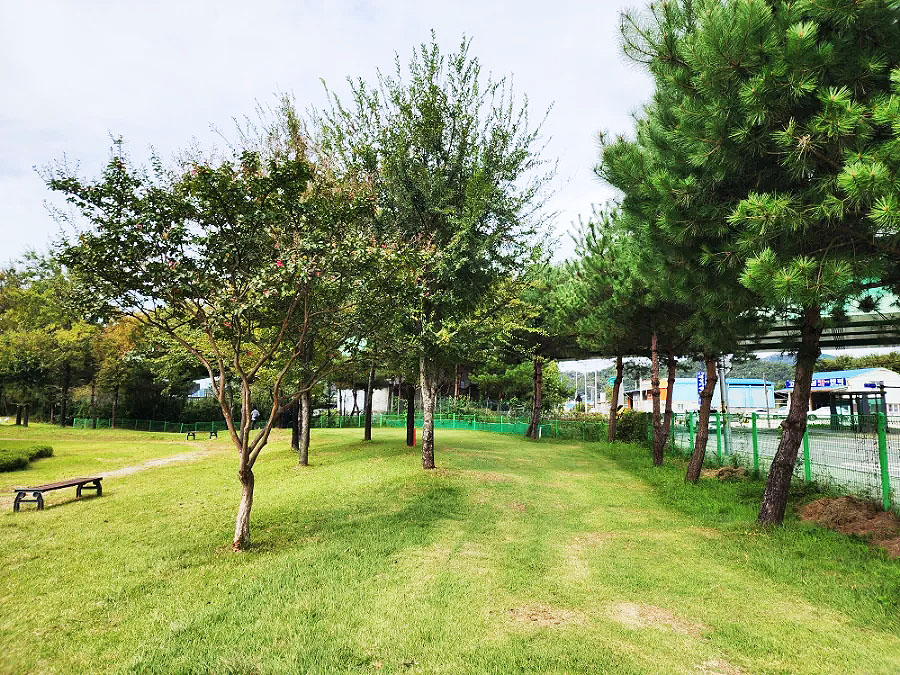 전라북도 완주군 고산파크골프장 소개