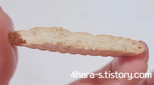 마리-비스킷-단면-사진