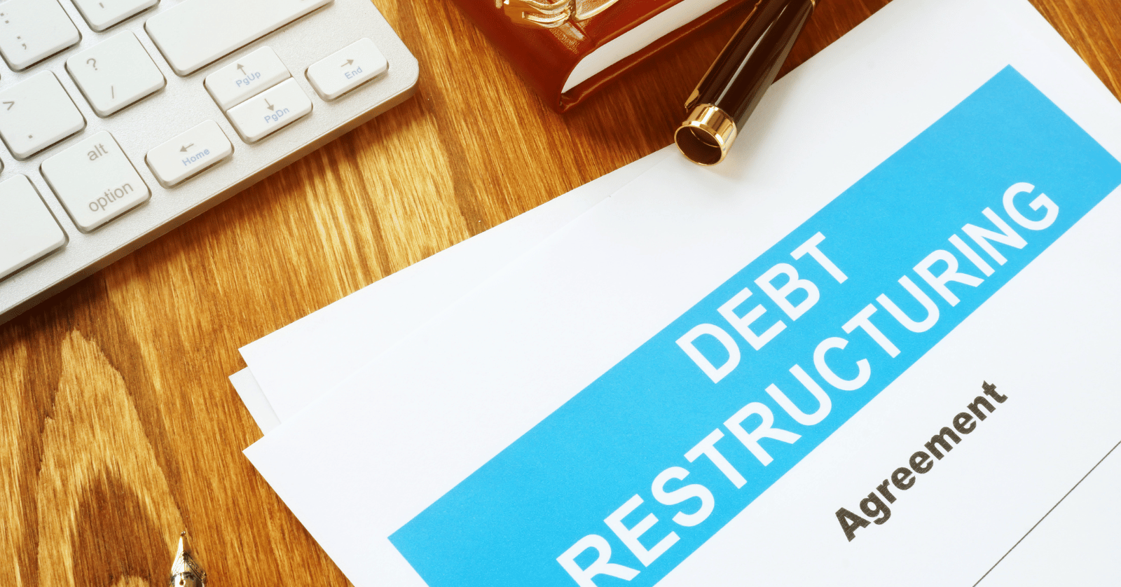 채무자대리인제도