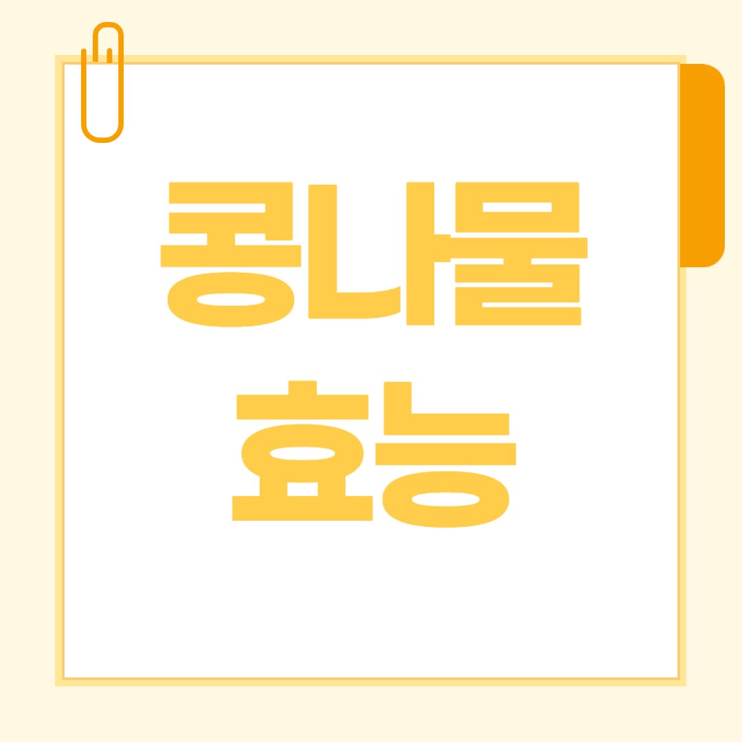 콩나물 효능 총정리 피로회복에 좋은 에너지 식품의 대표주자