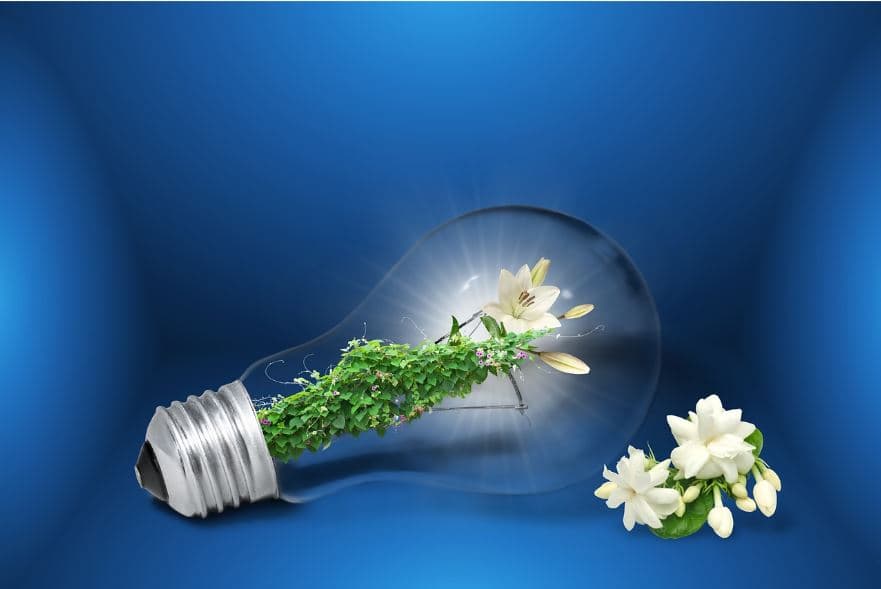 아시아 친환경 공예 기술, 어디까지 왔나