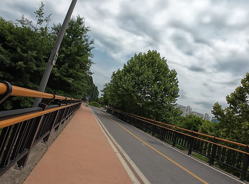 Alt 속성 문제 해결 설명 이미지