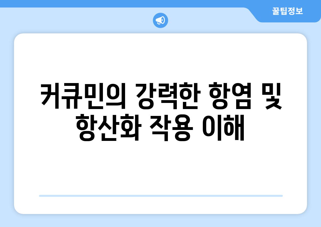 커큐민의 강력한 항염 및 항산화 작용 이해