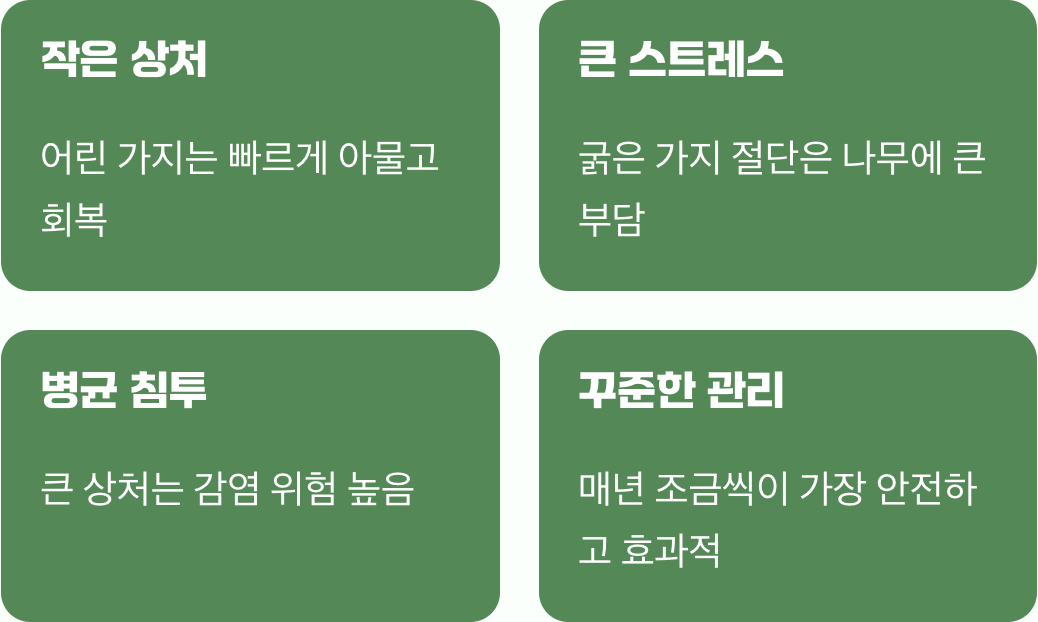 결국&amp;#44; 어릴 때 시작해야 하는 이유