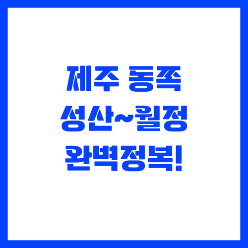 제주도 동쪽 여행코스 성산부터 월정리..