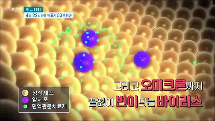 명의 오미크론 영유아 청소년 가족감염 격리 기저질환자 노년층의 위험에 대해 듣는다