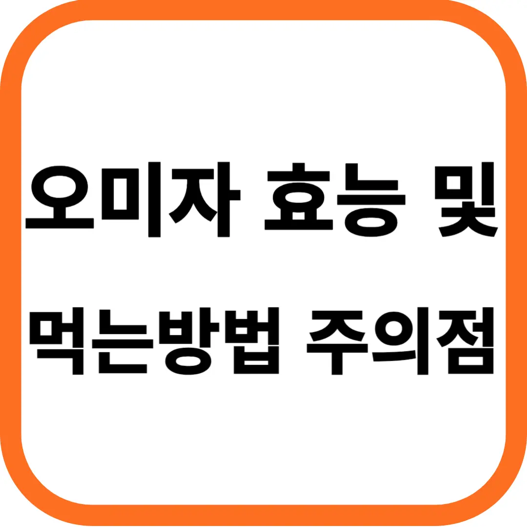 오미자 효능 및 먹는 방법 주의점