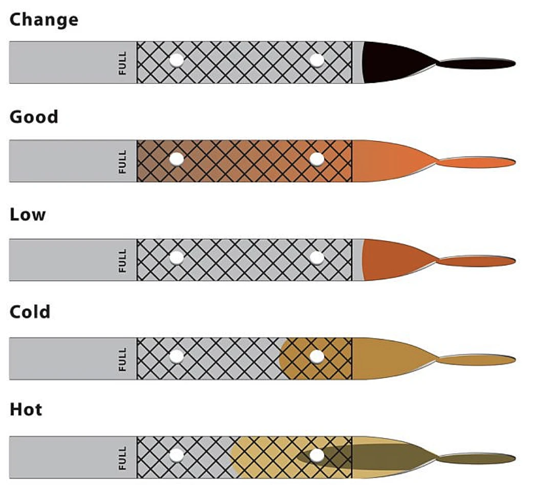 엔진오일 점검방법