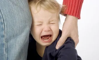 강아지 분리불안 진정 노즈워크 퍼즐 장난감 활용법_4