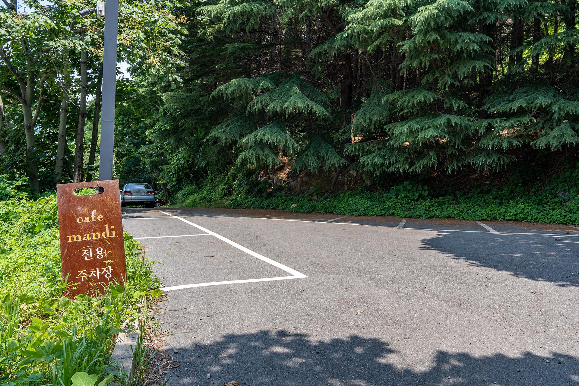 괴정 카페 만디