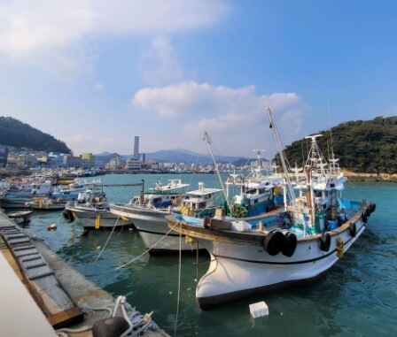 6시 내고향 완도 백반 맛집 만선식당