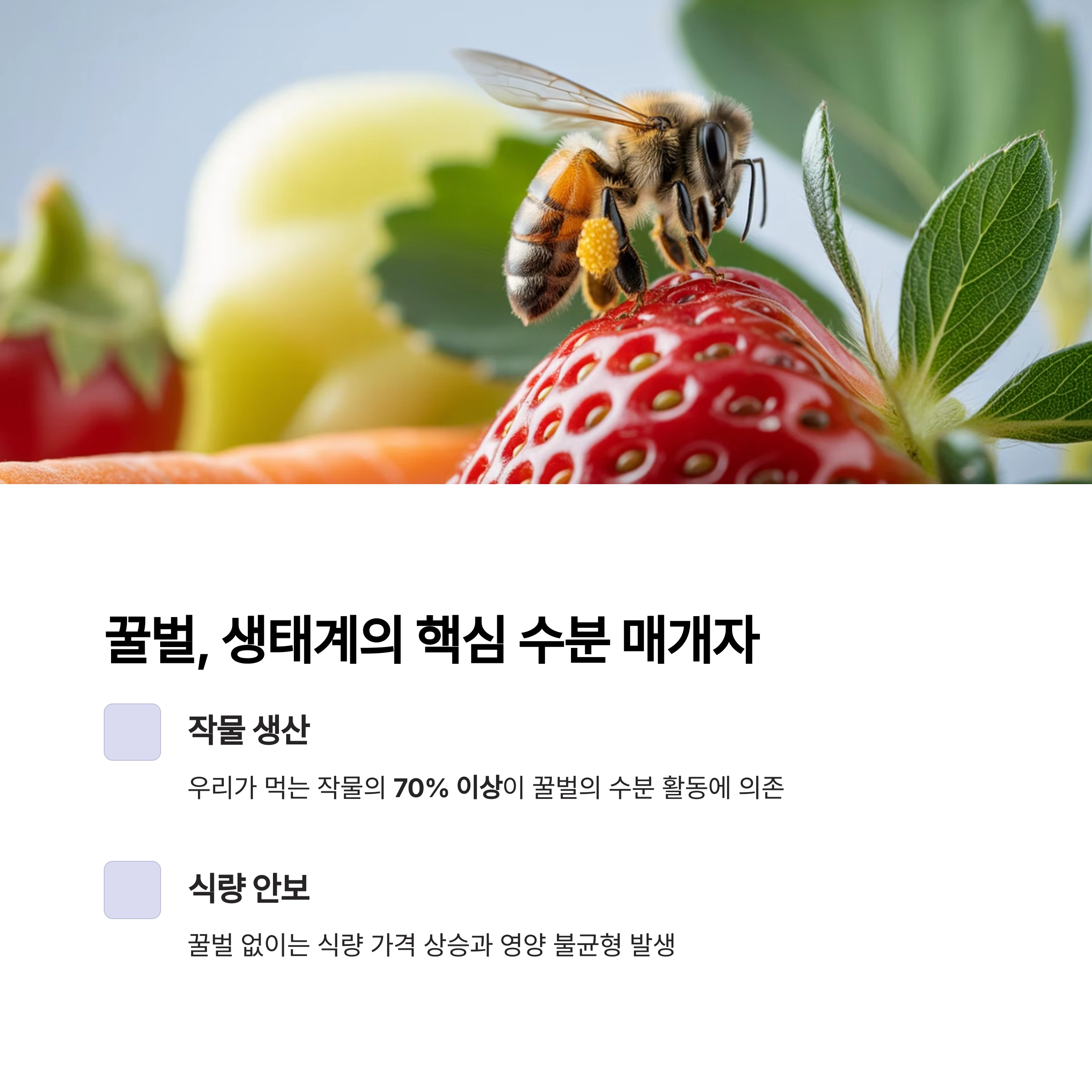 꿀벌의 실종 : 우리가 외면할 수 없는 지구의 경고