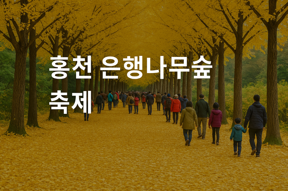 홍천 은행나무숲 축제, 황금빛 절경 언제까지 볼 수 있을까?