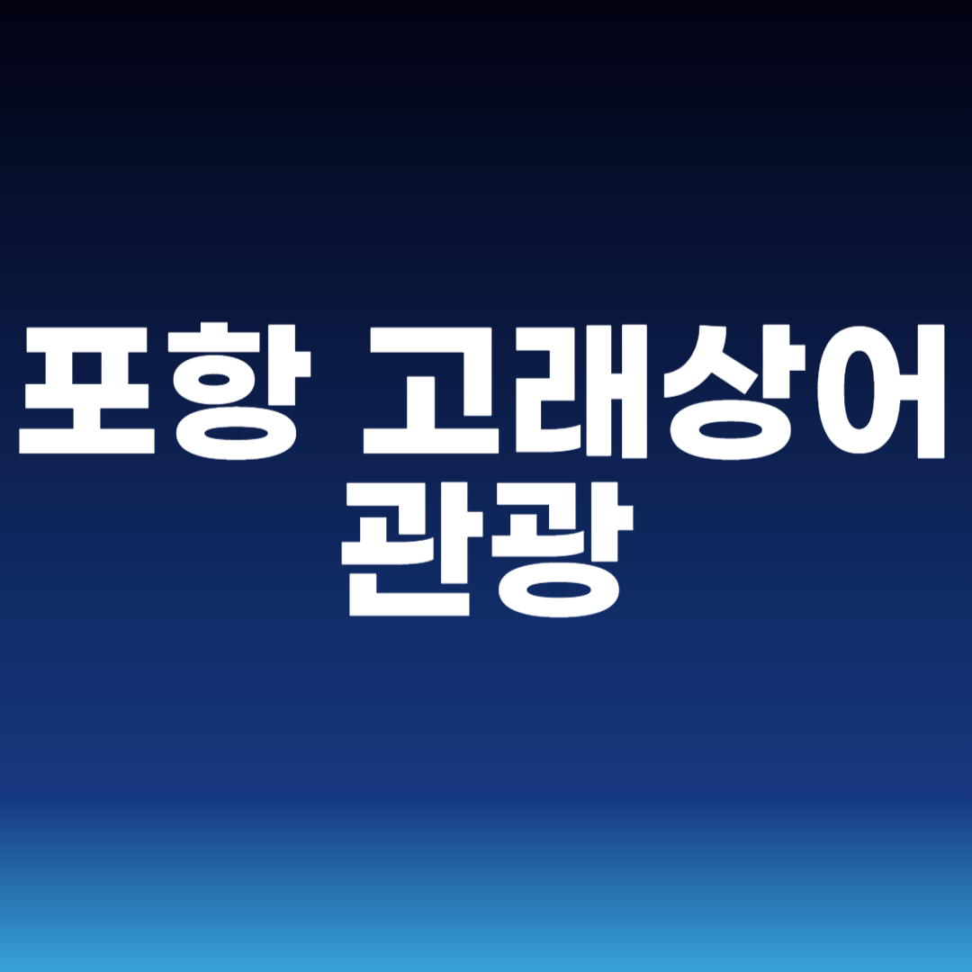 포항 고래상어 관광