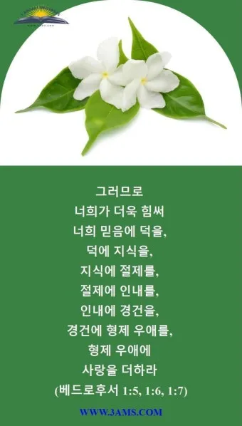 베드로후서 3장 9절 묵상 - 주의 약속은 어떤 이들이 더디다고 생각하는 것 같이 더딘 것이 아니라_5
