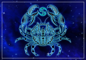 산수도인 게자리