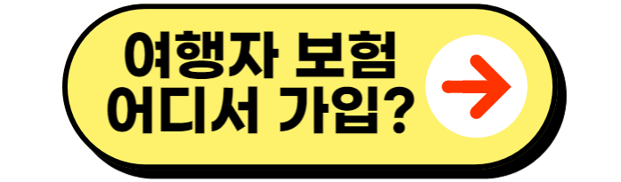 여행자 보험 필수