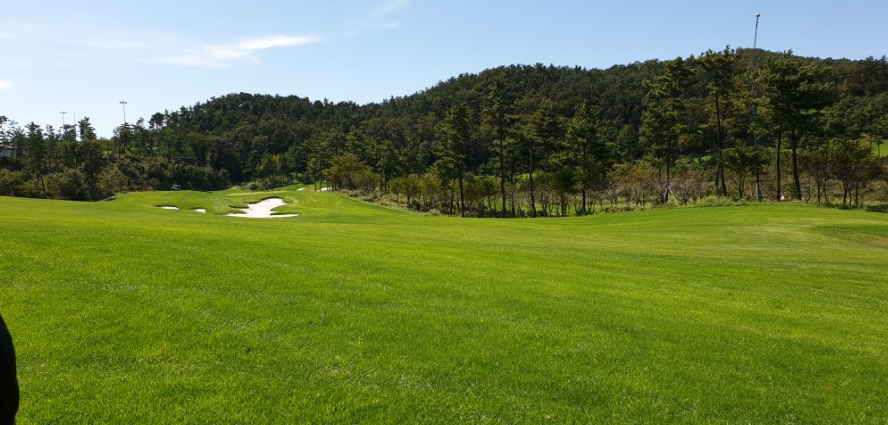 대부도 아일랜드CC 골프장 소개