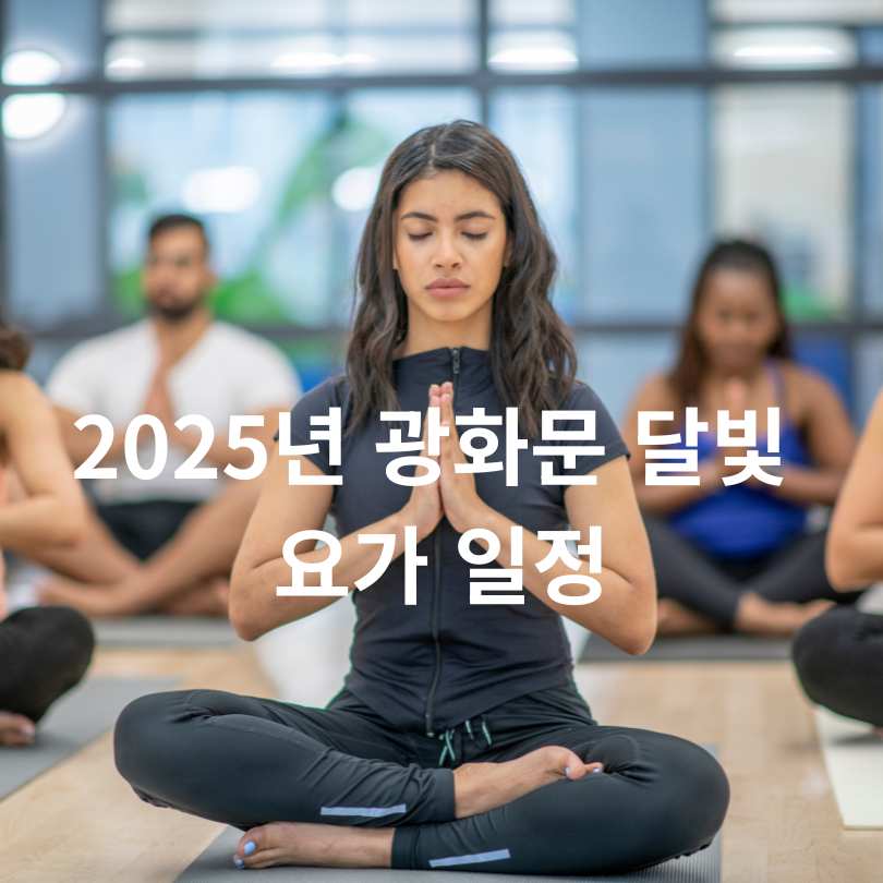 광화문 달빛 요가 신청방법부터 현장접수 꿀팁