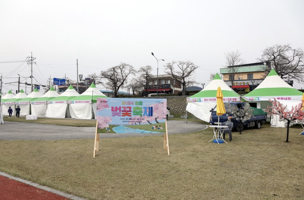 정읍 벚꽃 축제