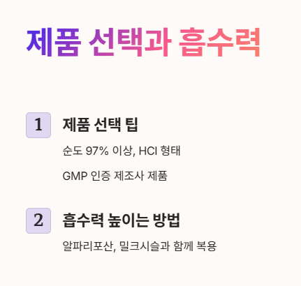 베르베린 복용법: 제품 선택과 흡수력