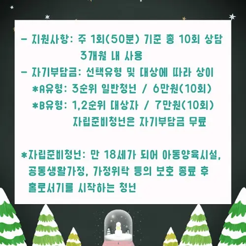 청년마음건강 바우처_지원사항, 자기부담금