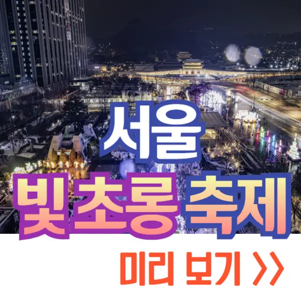 서울 빛초롱축제