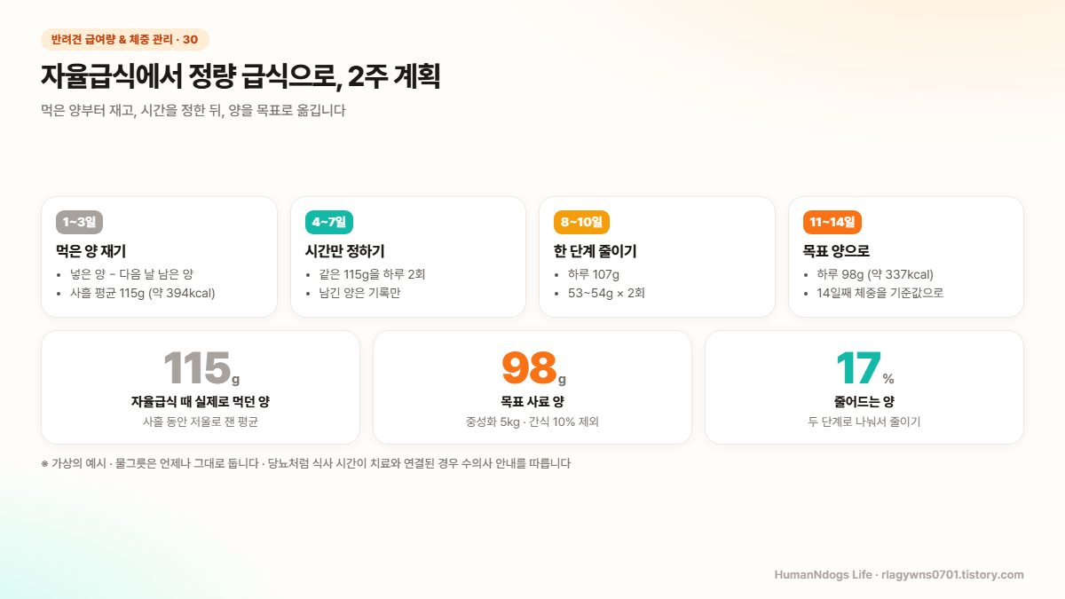 자율급식에서 정량 급식으로 바꾸는 2주 계획 도식 — 먹은 양 115g에서 목표 98g까지