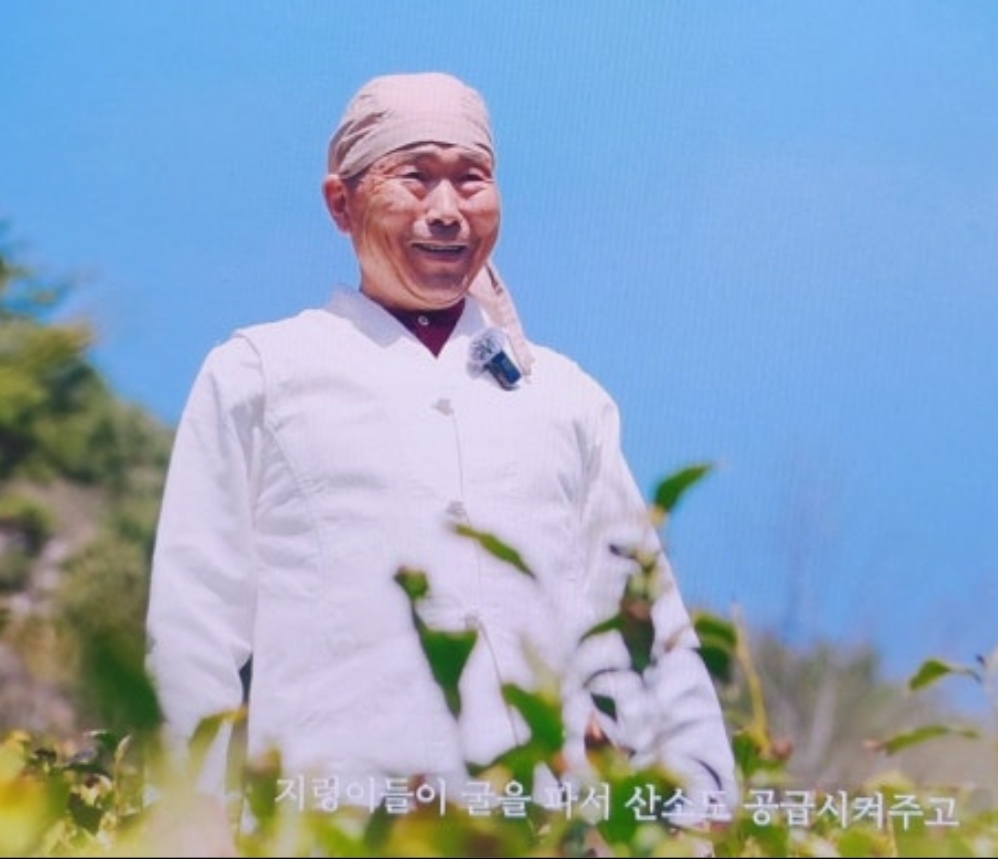 하동-황인수-청석골감로다원