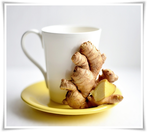 &quot;10월 하순, 생강 수확 하세요!&quot; 생강의 매력과 건강 효능, 최적의 수확시기! 생강의 효능과 활용!