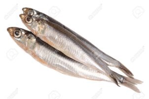 빈혈에 좋은 음식