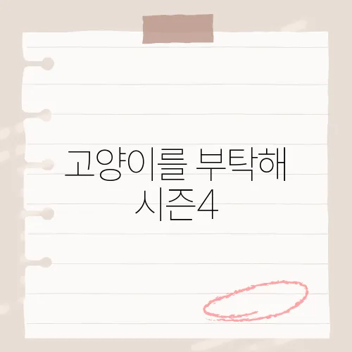 고양이를 부탁해 시즌4, 이번 시즌에서 주목할 만한 에피소드는?​