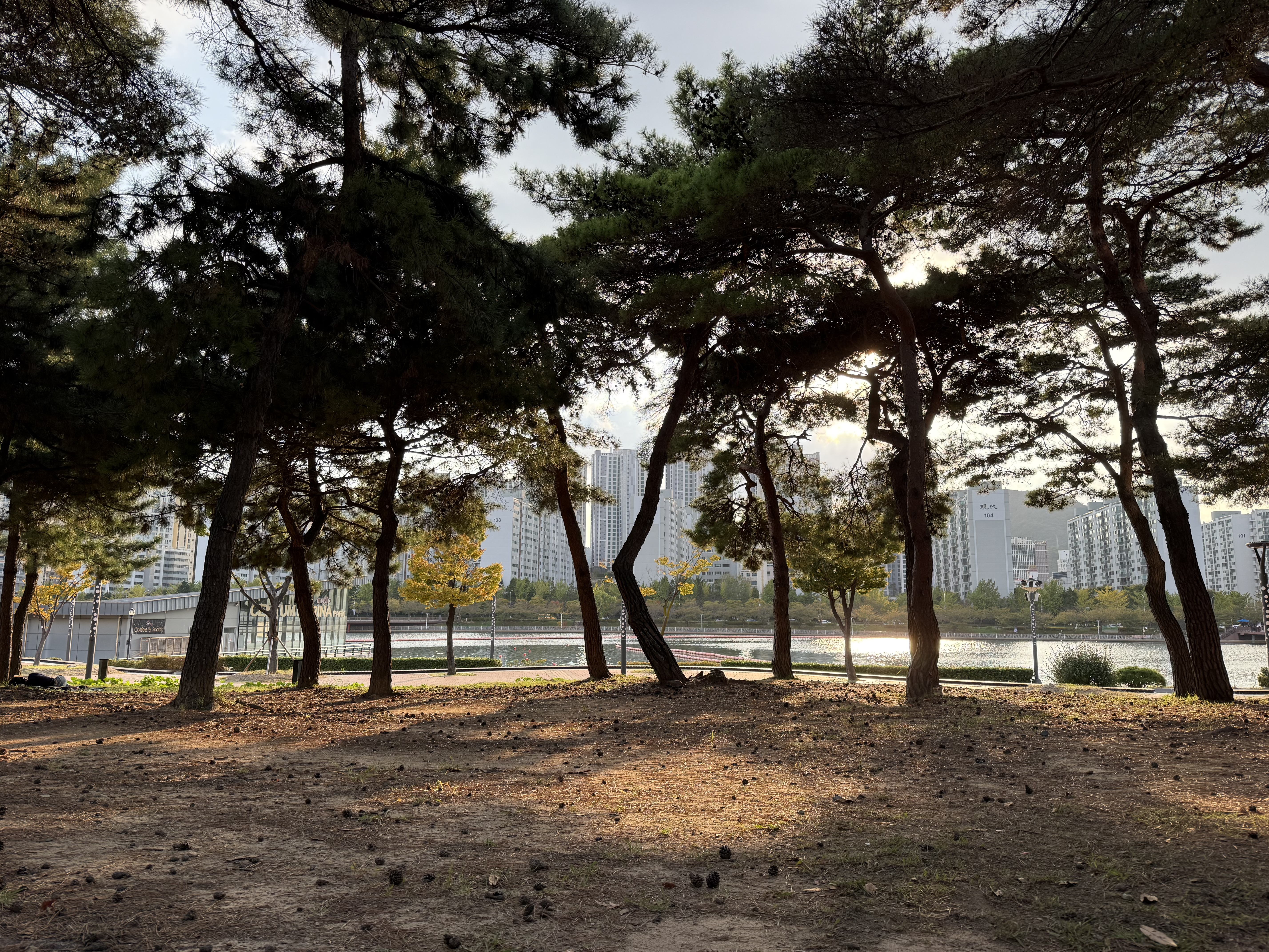 apec 나루공원