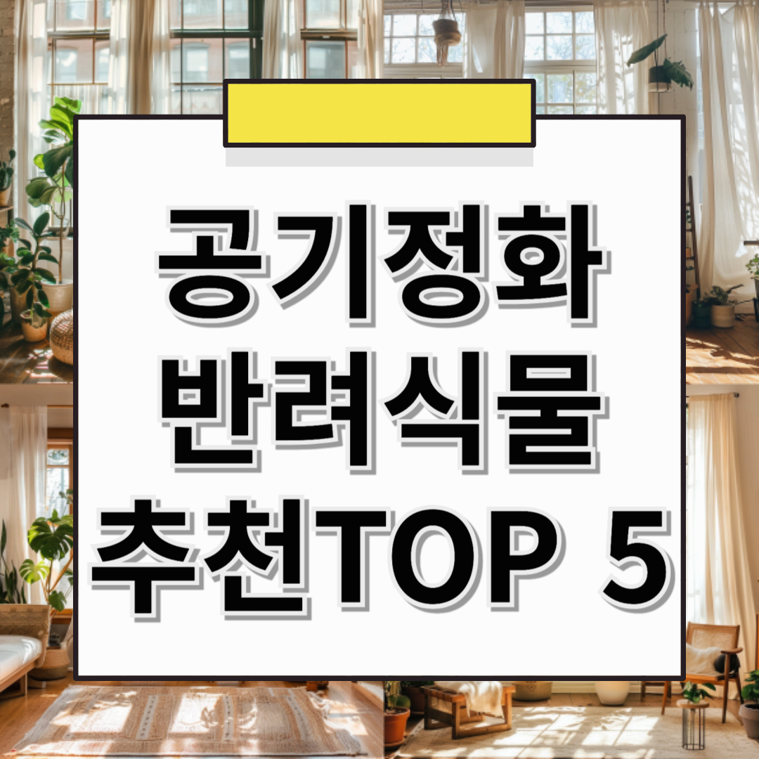 🌿 공기정화 식물 추천! 실내에서도 깨끗한 공기를 만드는 식물 TOP 5