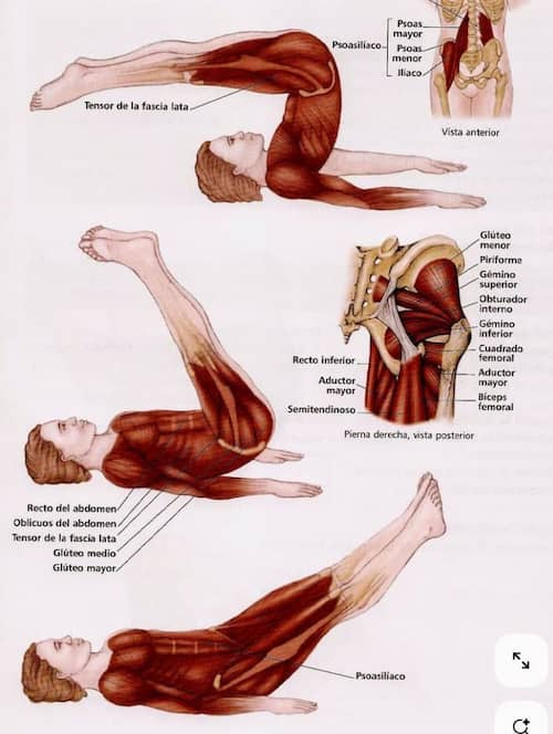 코크스크류(Cork-Screw)