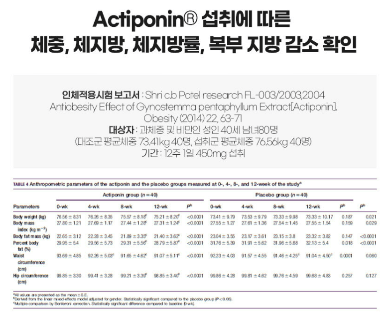 다이어트 보조제 순위 TOP 10