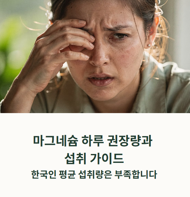 마그네슘 권장량 썸네일