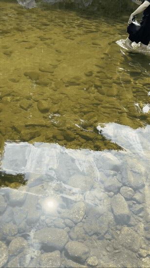 가평 계곡에 도착해 맑은 물 위에 햇살이 반짝이는 모습. 바닥 돌이 보일 정도로 투명한 계곡물이 시원함을 전해준다.