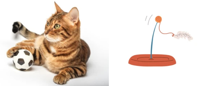 고양이 자동장난감 추천