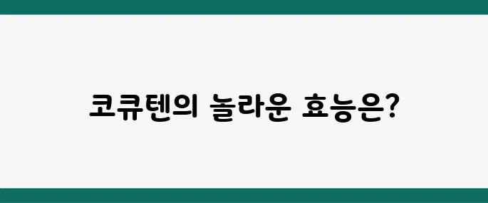 코큐텐(CoQ10) 효능 추천 혈압 강하, 피로 감소, 피부 회복, 염증 감소