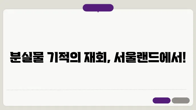 서울랜드 분실물 찾은 성공 스토리 분실물, 분실물 센터, 분실물 찾는 법