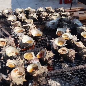 우도 소라 축제 뿔소라