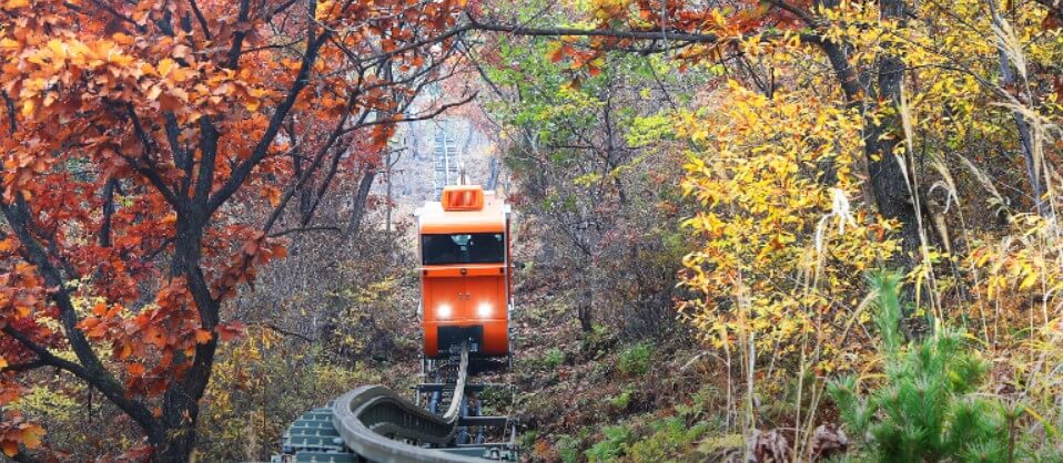 함양대봉산휴양밸리 모노레일 예약방법