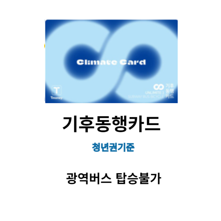 기후동행카드vsK패스카드