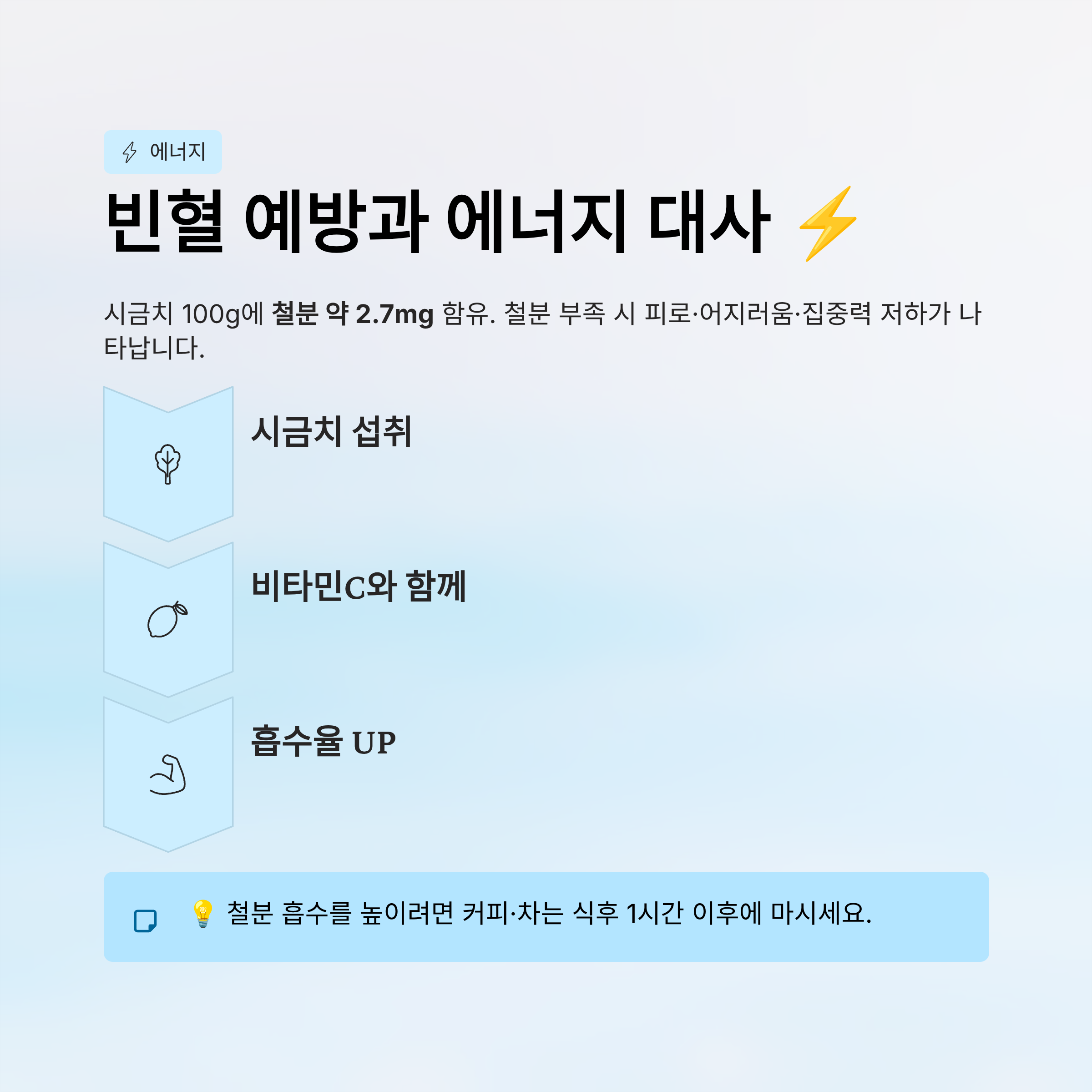 빈혈 예방과 에너지 대사