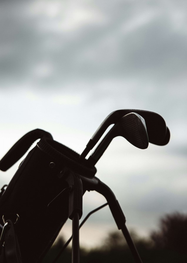 LPGA 소개와 우승자