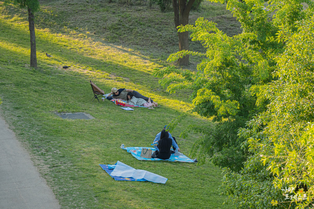 양화 한강공원 피크닉
