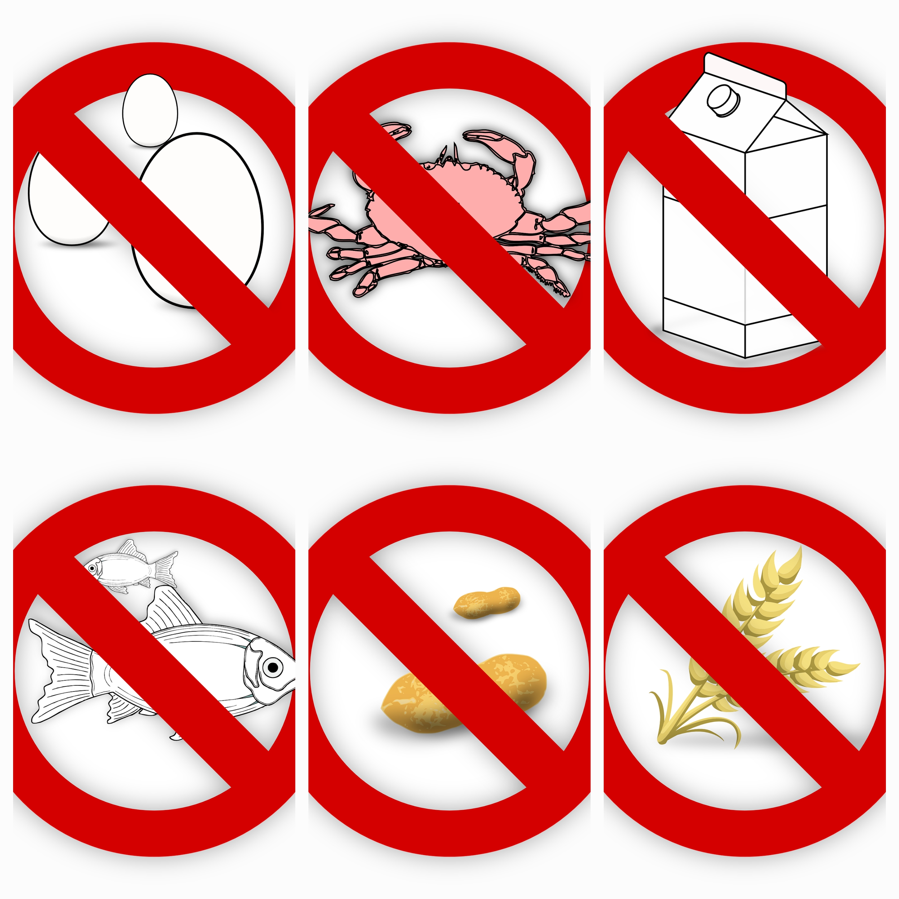 알레르기 검사 방법 비용 아나필락시스 갑각류 알레르기,우유알레르기, 계란알레르기, 생선알레르기, 밀가루알레르기, 견과류알레르기